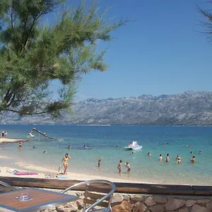https://apartments-villa-venera.hotelinzadar.com